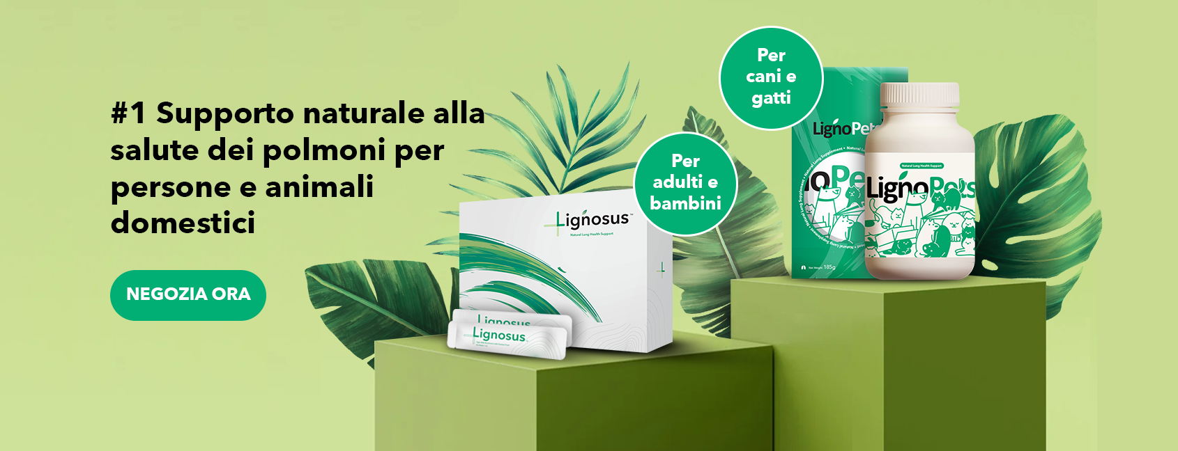 banner-product-presentation