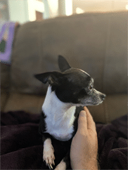 “Trustworthy brand for lung support!”